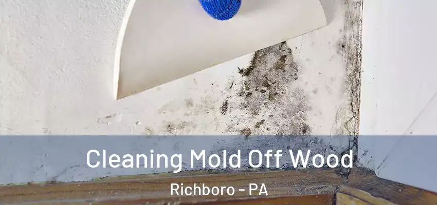 Cleaning Mold Off Wood Richboro - PA