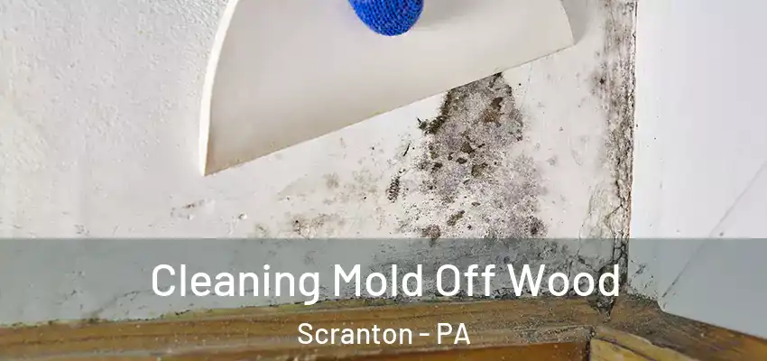 Cleaning Mold Off Wood Scranton - PA