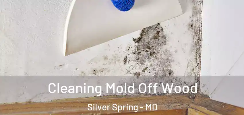 Cleaning Mold Off Wood Silver Spring - MD