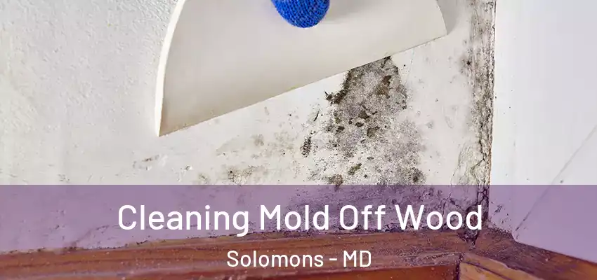 Cleaning Mold Off Wood Solomons - MD