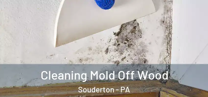 Cleaning Mold Off Wood Souderton - PA