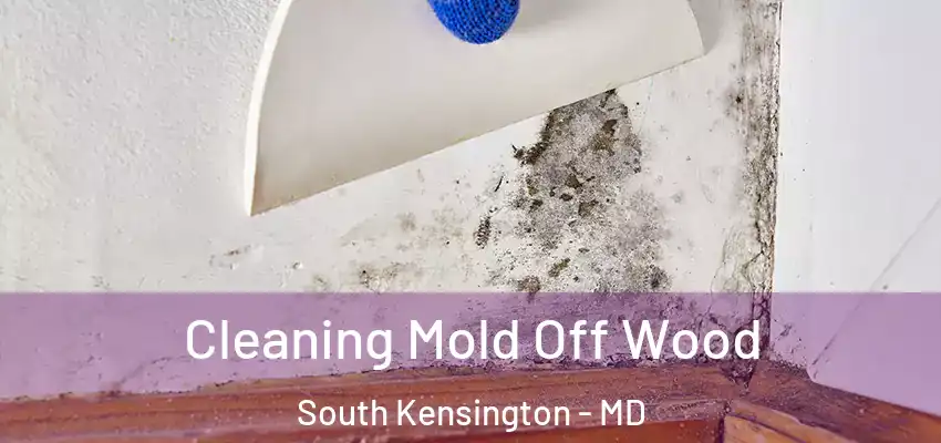 Cleaning Mold Off Wood South Kensington - MD