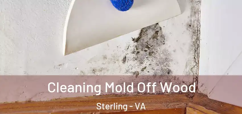 Cleaning Mold Off Wood Sterling - VA