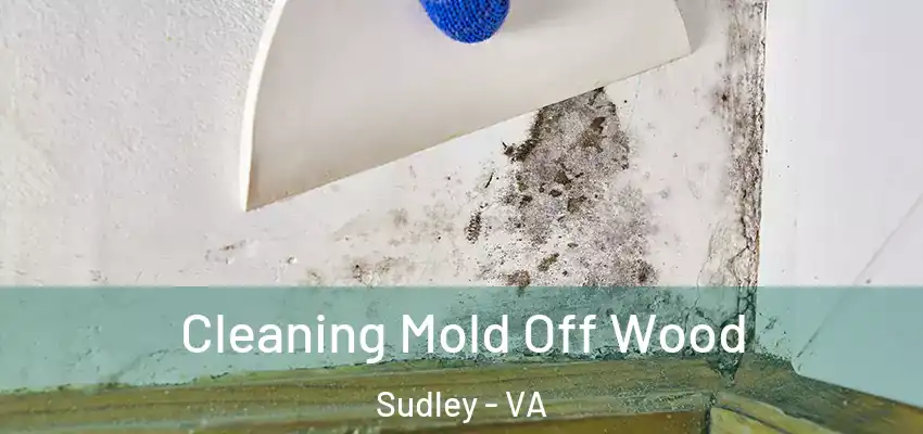 Cleaning Mold Off Wood Sudley - VA