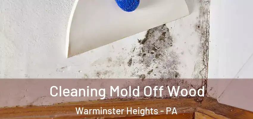 Cleaning Mold Off Wood Warminster Heights - PA