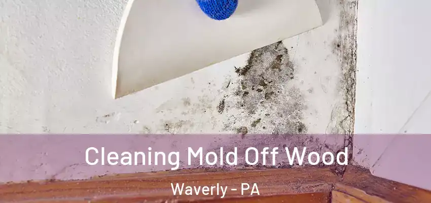 Cleaning Mold Off Wood Waverly - PA