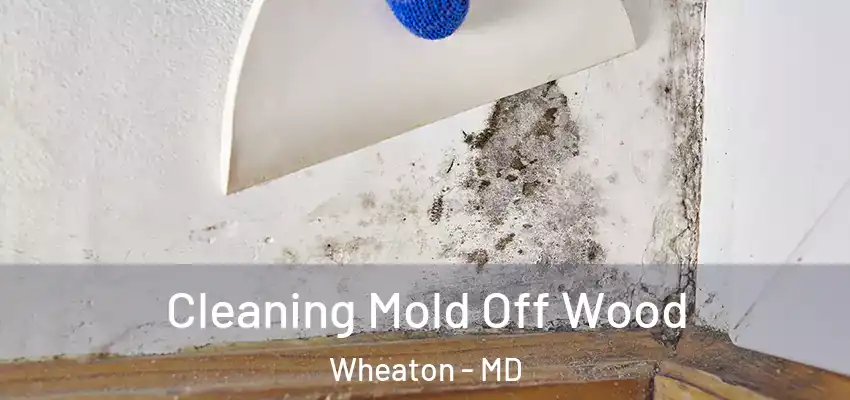Cleaning Mold Off Wood Wheaton - MD