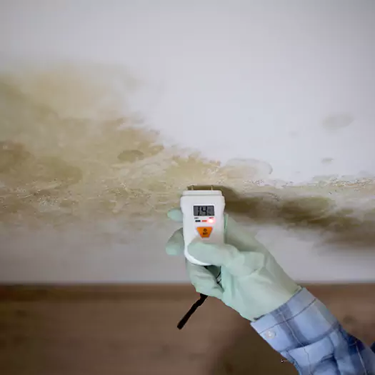 Reliable Mold Inspection Experts in Scranton, PA