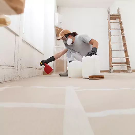 Reliable Mold Stain Remover Specialists in Scranton, PA