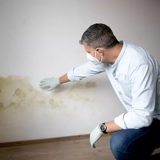 Trusted Mold Remediation and Removal Experts in Archbald, PA