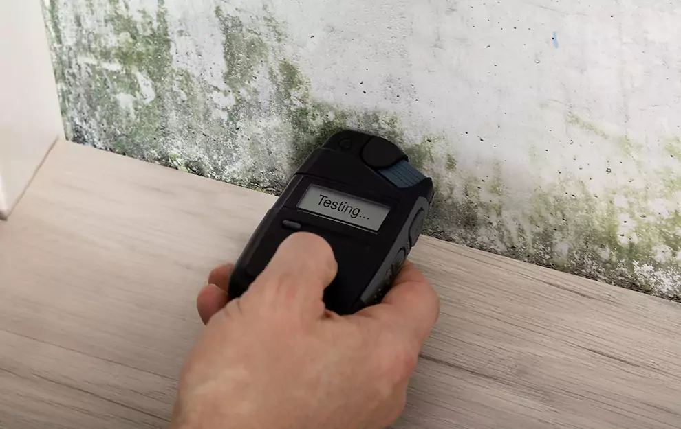 Top-Notch Mold Removal and Restoration Services in Archbald, PA