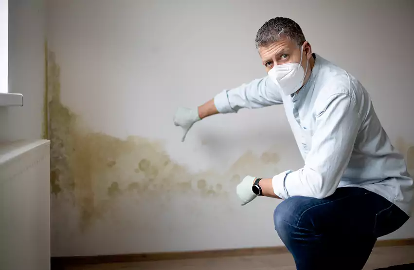 Mold Removal in Archbald, PA