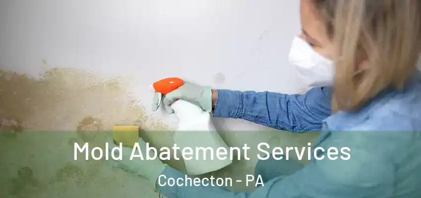 Mold Abatement Services Cochecton - PA