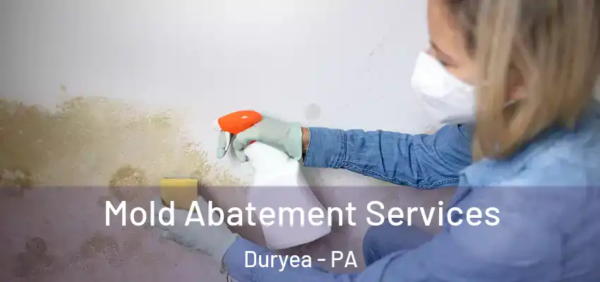 Mold Abatement Services Duryea - PA