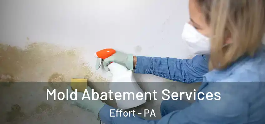 Mold Abatement Services Effort - PA
