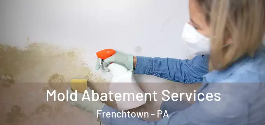 Mold Abatement Services Frenchtown - PA