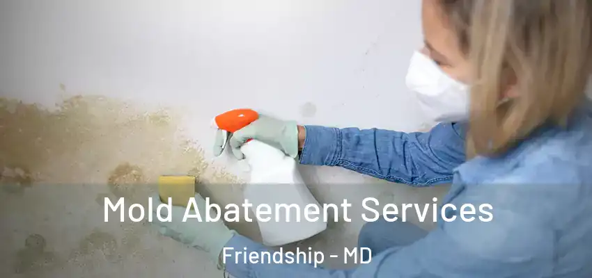 Mold Abatement Services Friendship - MD