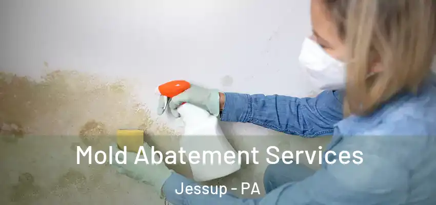 Mold Abatement Services Jessup - PA
