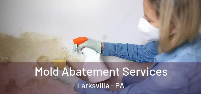 Mold Abatement Services Larksville - PA