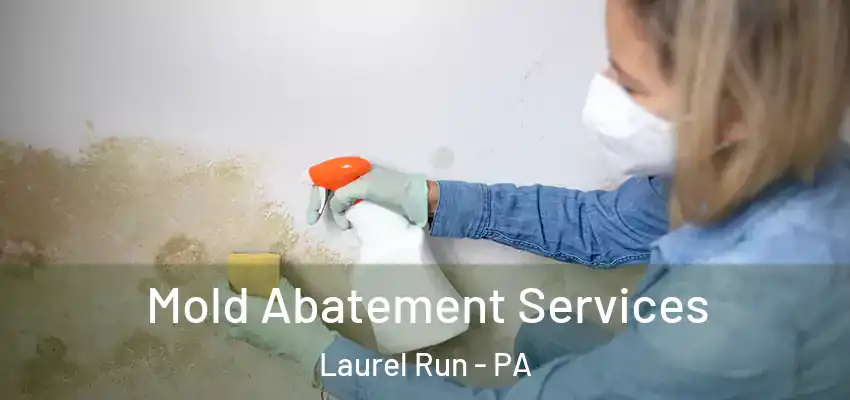 Mold Abatement Services Laurel Run - PA