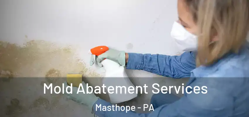 Mold Abatement Services Masthope - PA