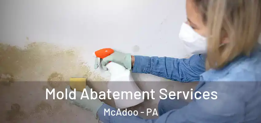 Mold Abatement Services McAdoo - PA