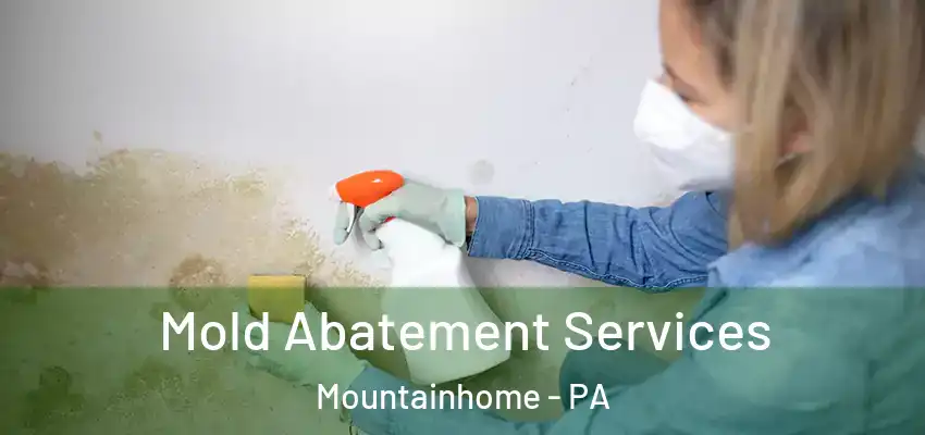  Mold Abatement Services Mountainhome - PA