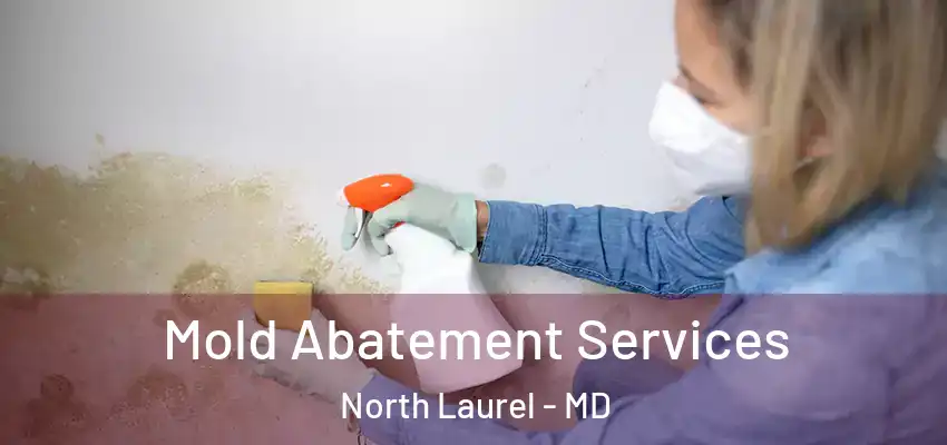 Mold Abatement Services North Laurel - MD