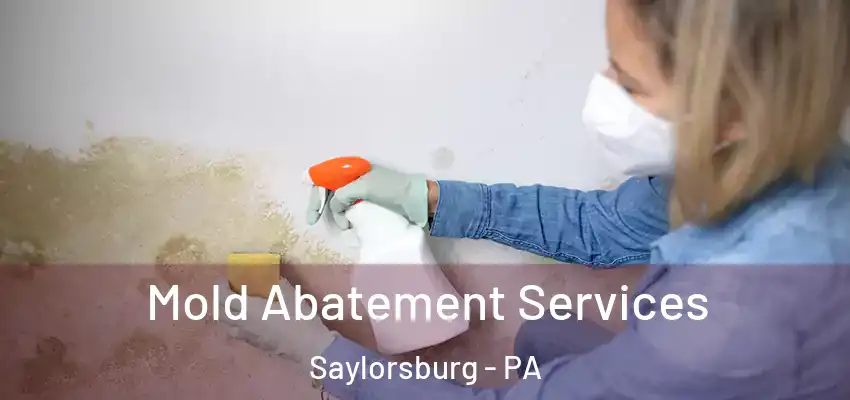Mold Abatement Services Saylorsburg - PA
