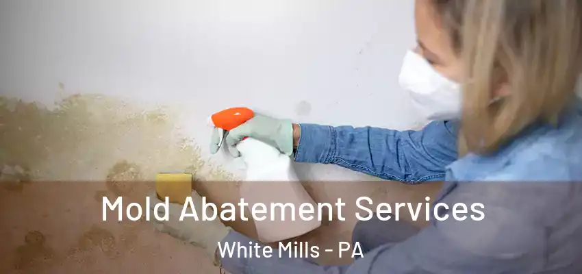 Mold Abatement Services White Mills - PA