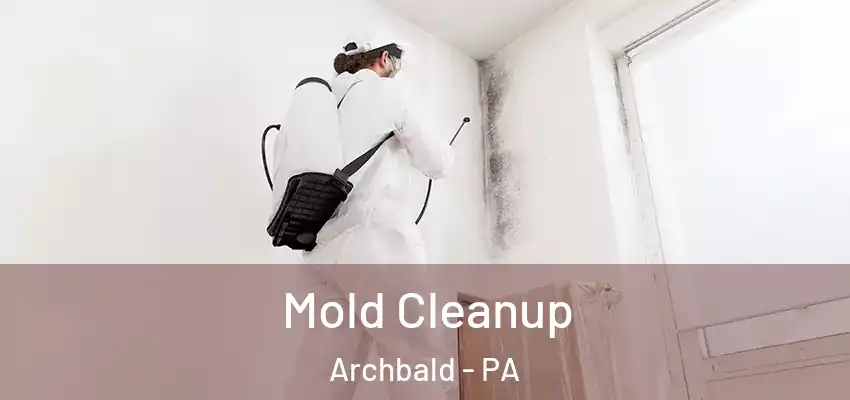 Mold Cleanup Archbald - PA