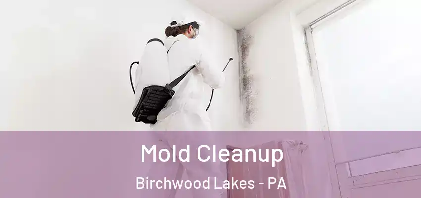 Mold Cleanup Birchwood Lakes - PA