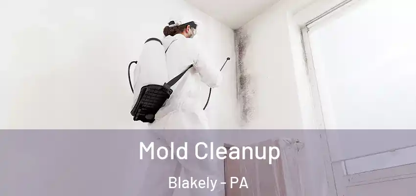 Mold Cleanup Blakely - PA