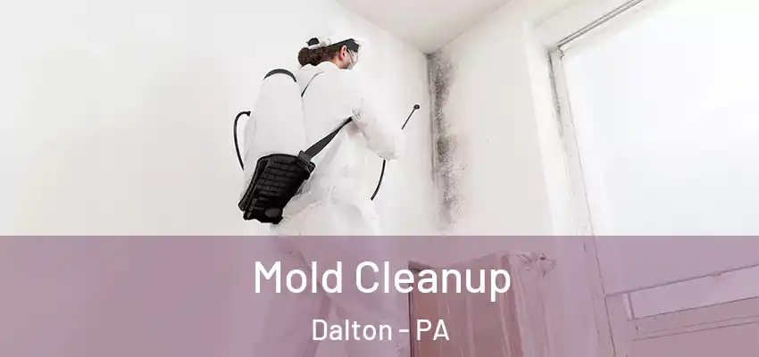 Mold Cleanup Dalton - PA