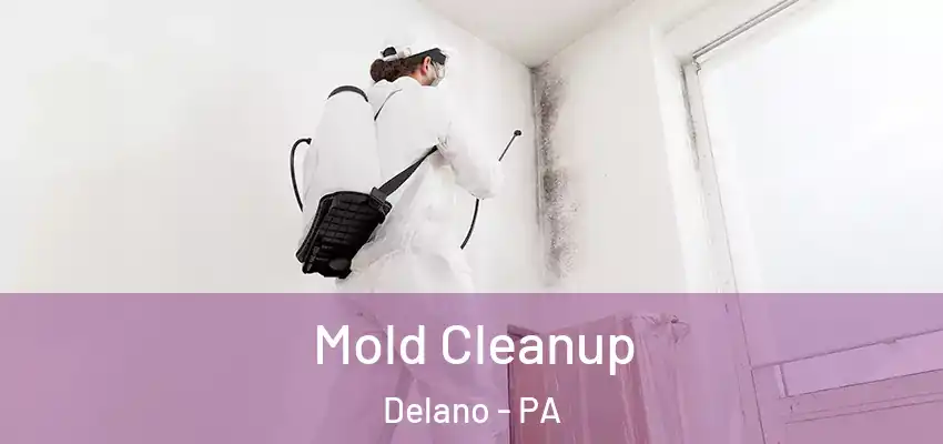 Mold Cleanup Delano - PA