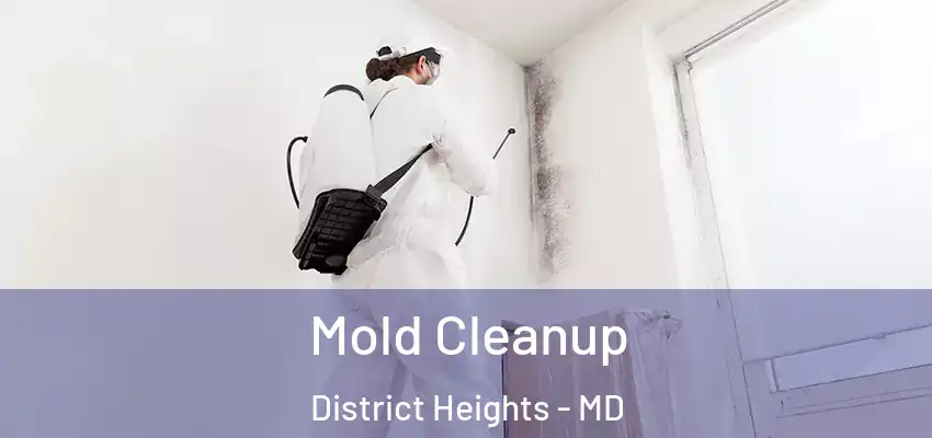 Mold Cleanup District Heights - MD