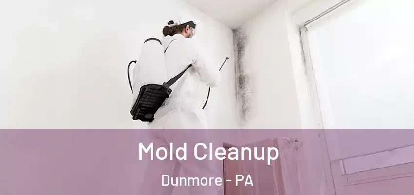 Mold Cleanup Dunmore - PA