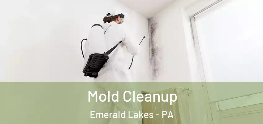 Mold Cleanup Emerald Lakes - PA