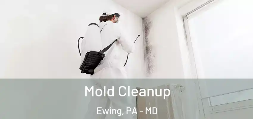Mold Cleanup Ewing, PA - MD