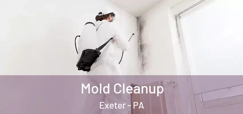 Mold Cleanup Exeter - PA