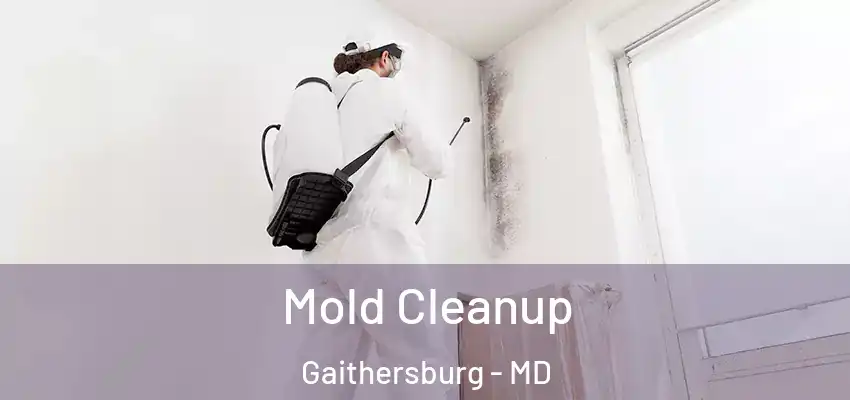 Mold Cleanup Gaithersburg - MD
