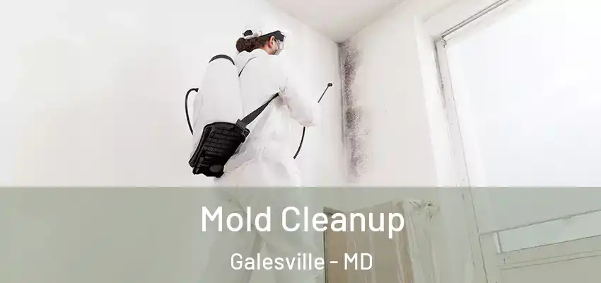Mold Cleanup Galesville - MD
