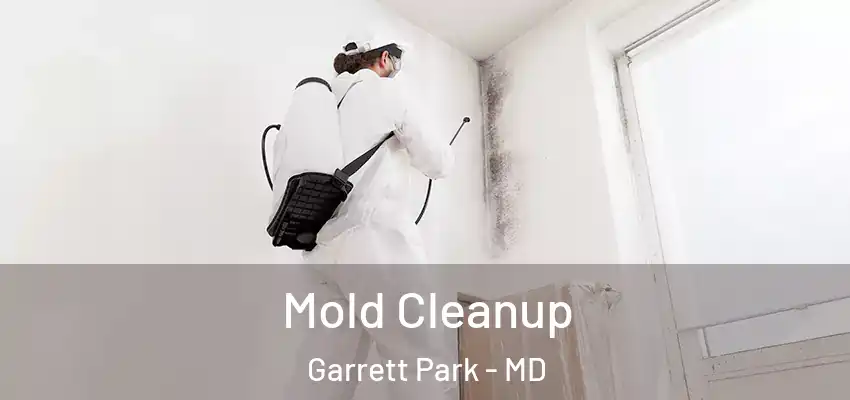 Mold Cleanup Garrett Park - MD