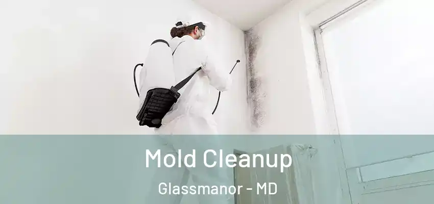 Mold Cleanup Glassmanor - MD