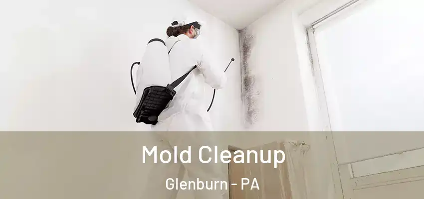  Mold Cleanup Glenburn - PA