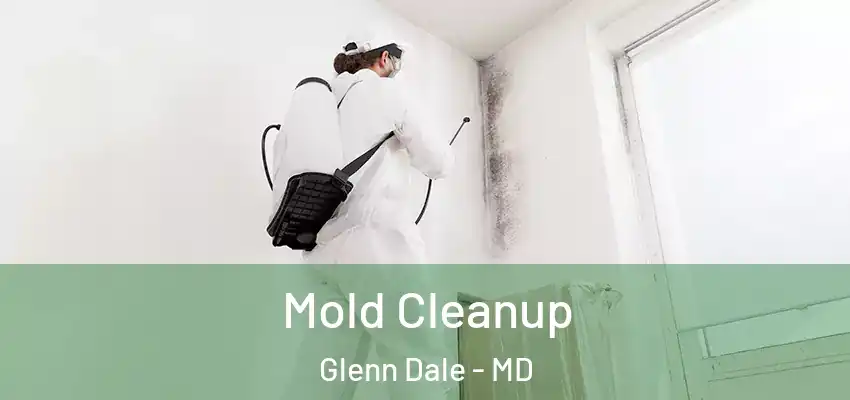 Mold Cleanup Glenn Dale - MD