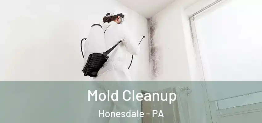 Mold Cleanup Honesdale - PA