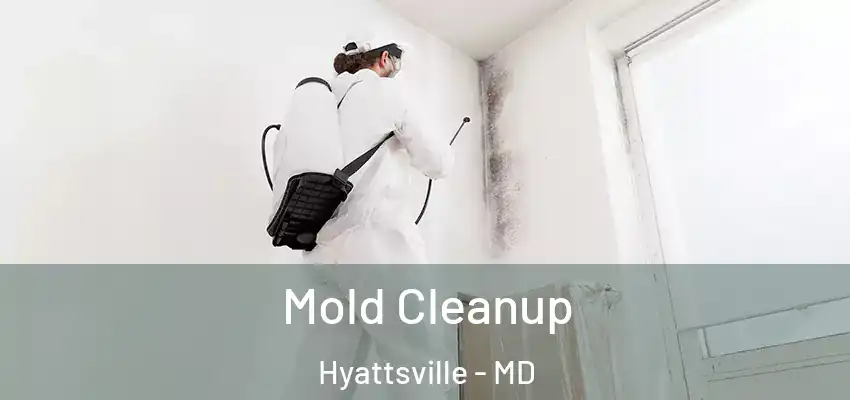 Mold Cleanup Hyattsville - MD