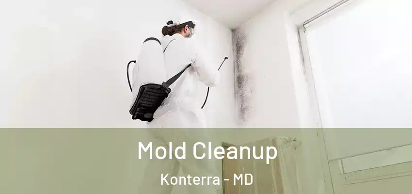 Mold Cleanup Konterra - MD