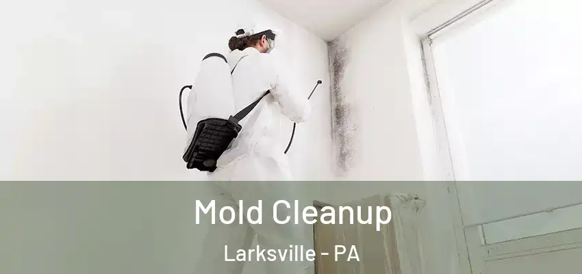 Mold Cleanup Larksville - PA